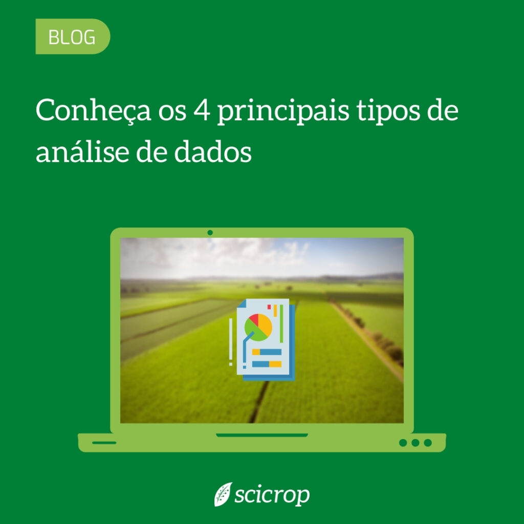 Tipos de análise de dados: Conheça os 4 principais!