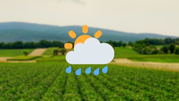 3 formas de impactos climáticos na produção agrícola