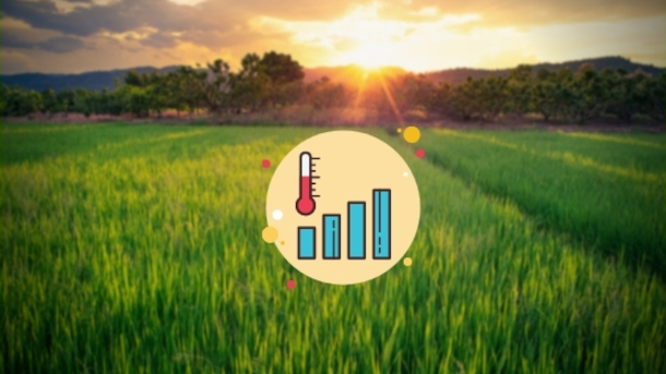 3 benefícios do monitoramento climático na agricultura
