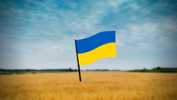 Guerra na Ucrânia: riscos e oportunidades para o agronegócio brasileiro.