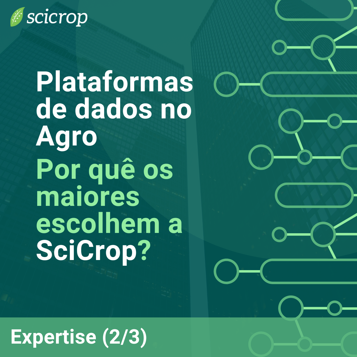 Tipos de análise de dados: Conheça os 4 principais!