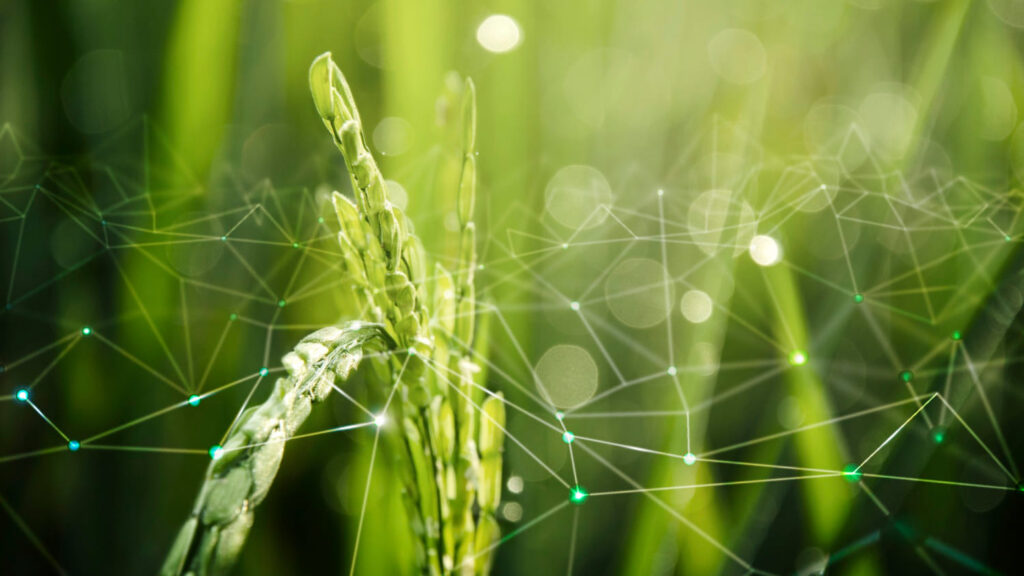 O Futuro da Inovação no Agronegócio: SciCrop na Vanguarda