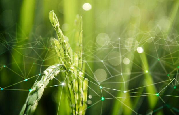 Agro 4.0: IoT e Monitoramento em Tempo Real na Agricultura