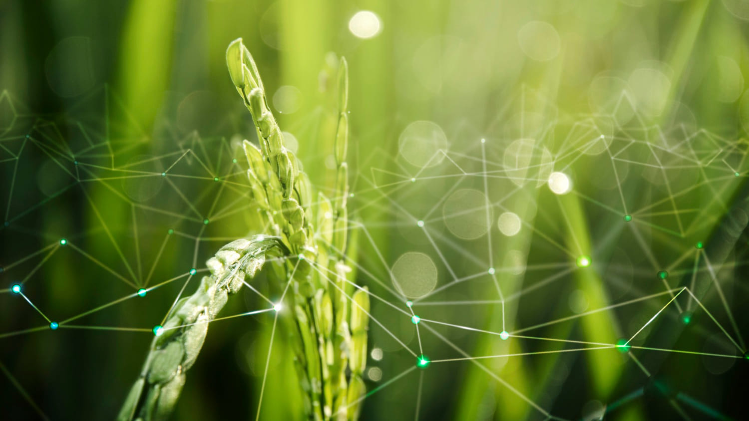 Agro 4.0: IoT e Monitoramento em Tempo Real na Agricultura