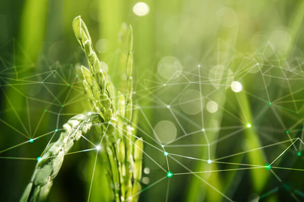Análise de Dados na agricultura - Da Informação à Ação