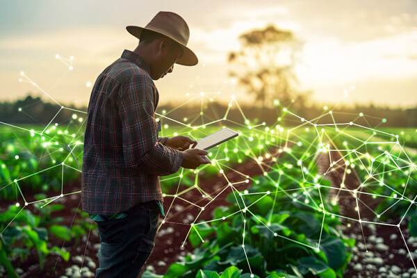 Conectando o Campo: IoT e a Revolução da Agricultura Conectada