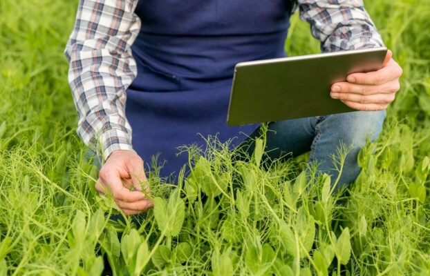 Utilização de Big Data na Agricultura