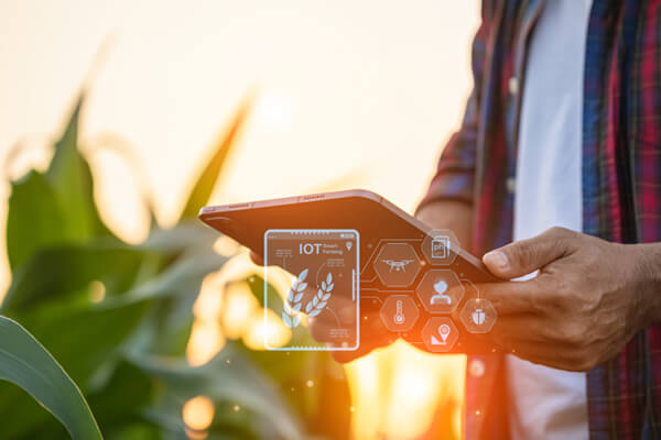 Utilização de Big Data na Agricultura