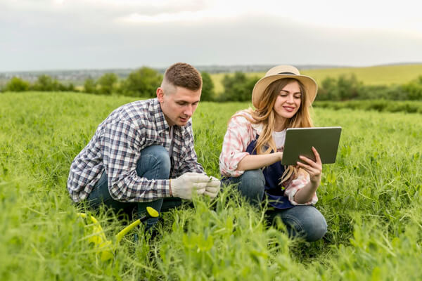 Algoritmos no Agronegócio: Transformando a Agricultura com Tecnologia