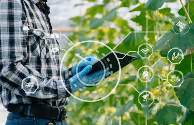 Governança e Cibersegurança na Agroindústria: 5 Estratégias Essenciais