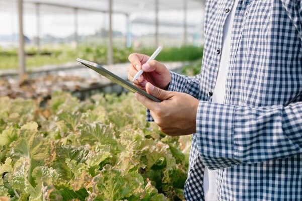 Adoção de Tecnologias no Agro: O Futuro da Produção Rural