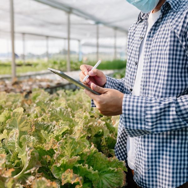 Adoção de Tecnologias no Agro: O Futuro da Produção Rural