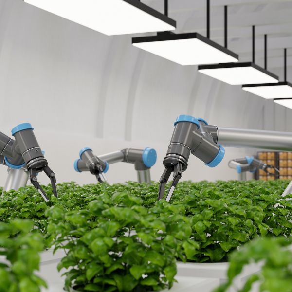 Tendências Tecnológicas para o Agro 2025: Como a IA e a Integração de Dados Estão Transformando o Setor