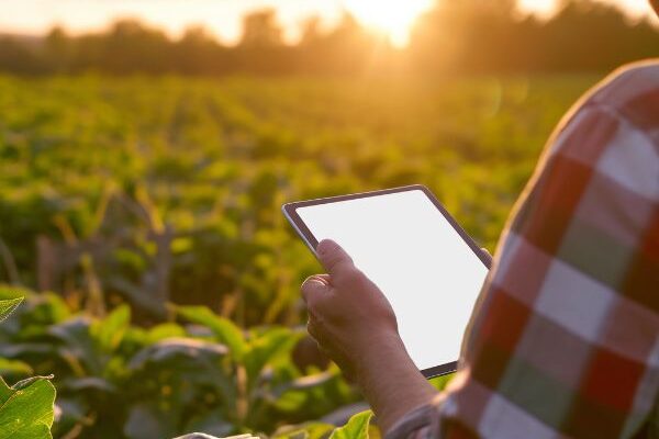 5 Maneiras que a AI-Driven Está Revolucionando a Agroindústria